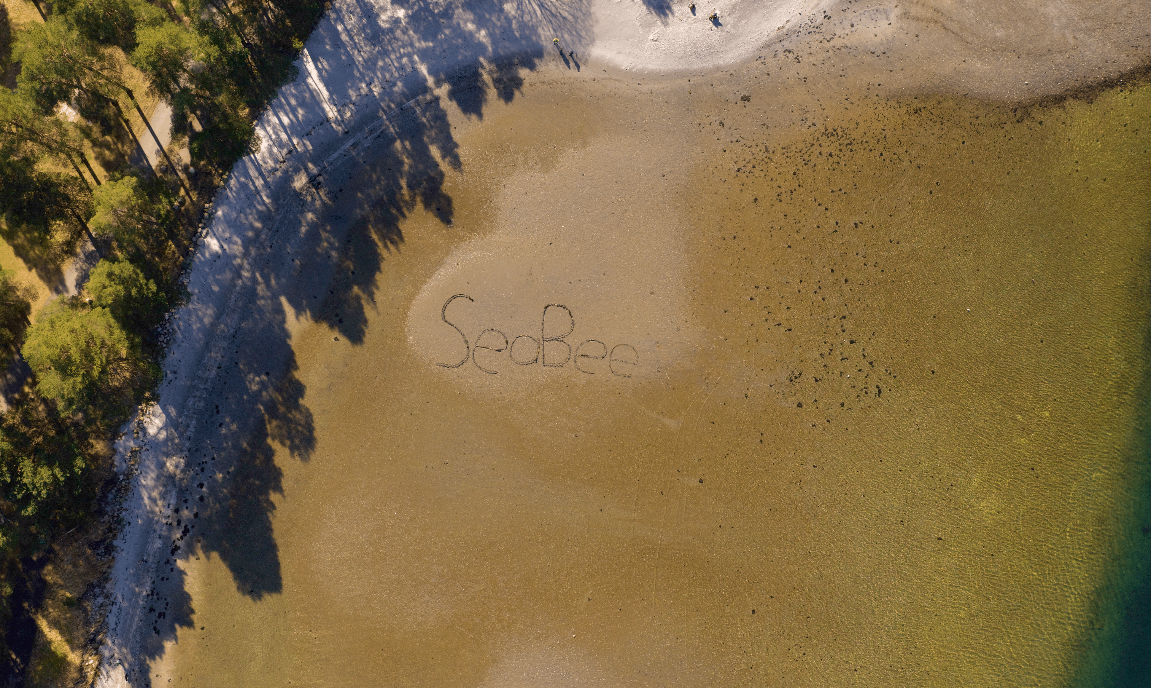 SeaBee