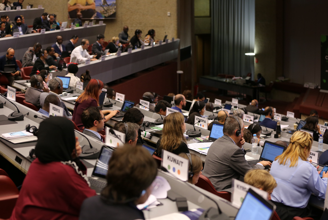 Intergovernmental Science-Policy Panel at UNEA 5.2