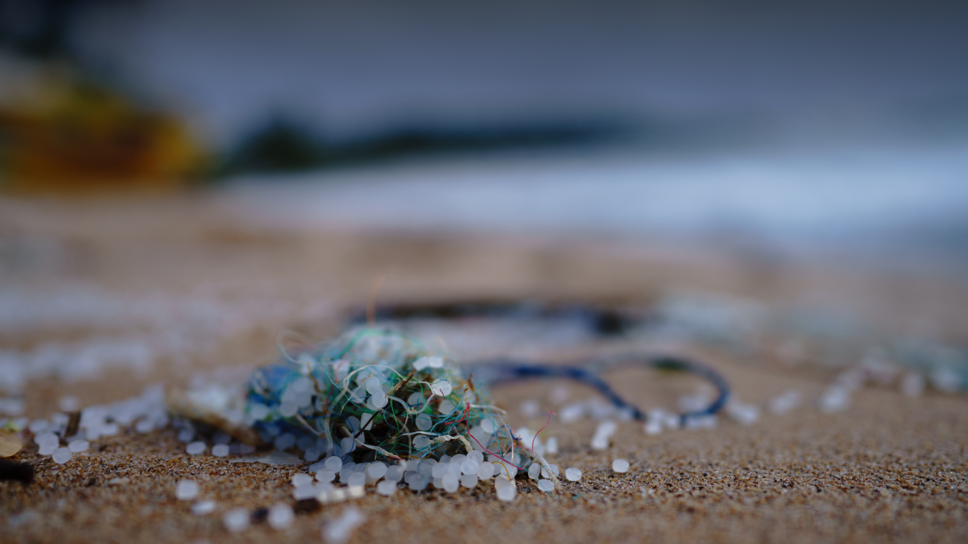 The High Ambition Coalition to End Plastic Pollution (HAC)