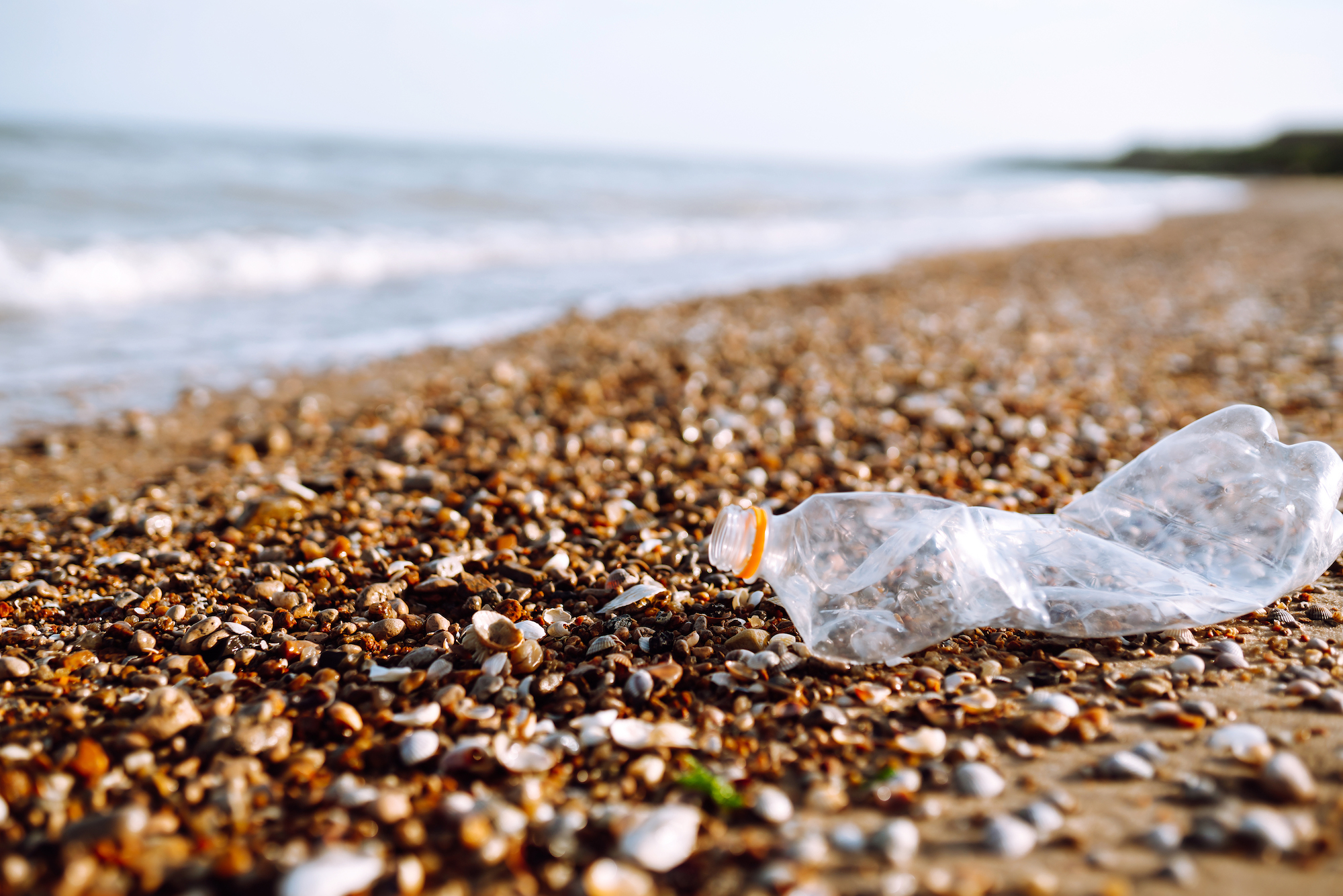 AFRIPAC: Effective Capacity Building for Global Plastics Treaty in Africa