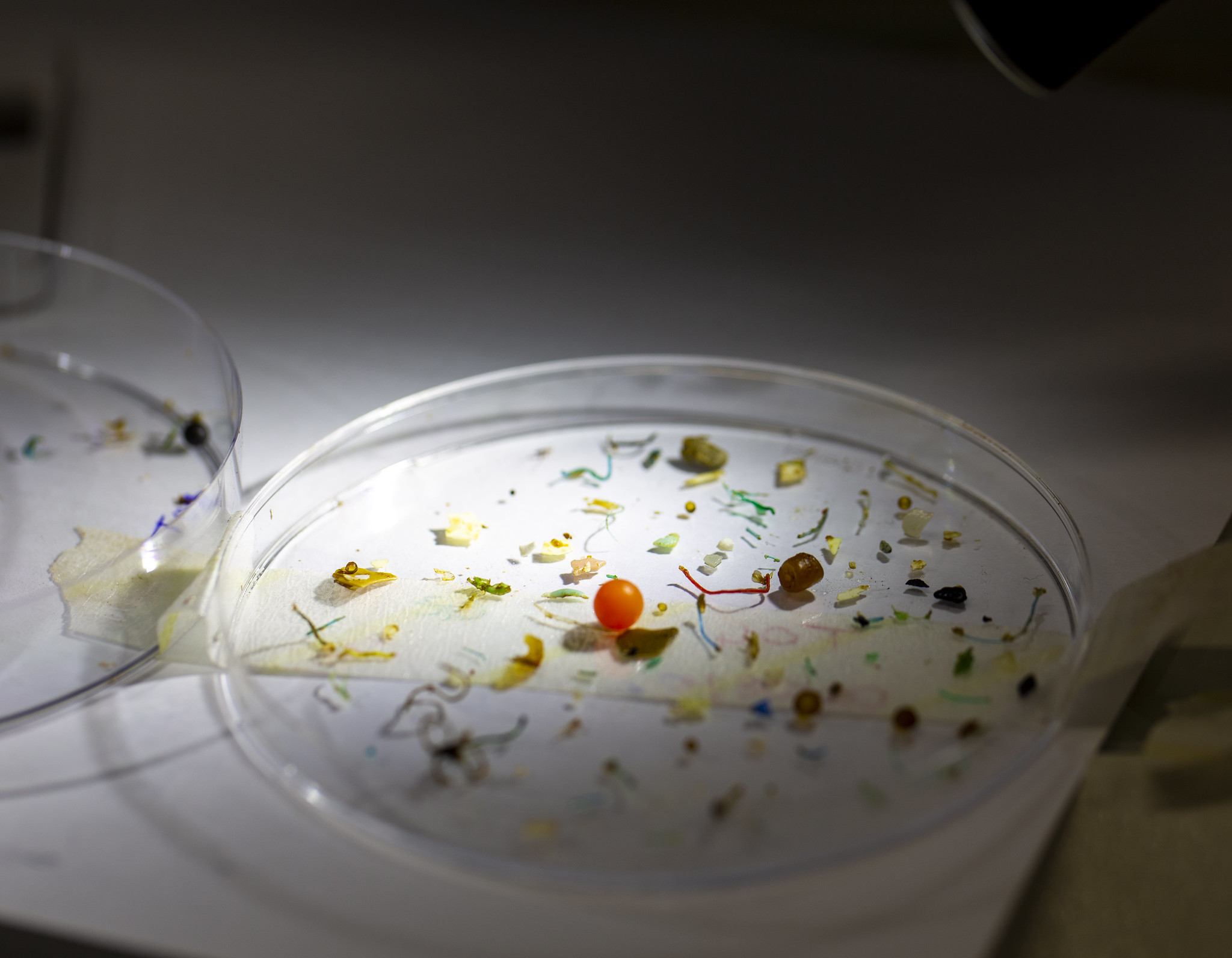 Science Policy Interface for Plastic Pollution