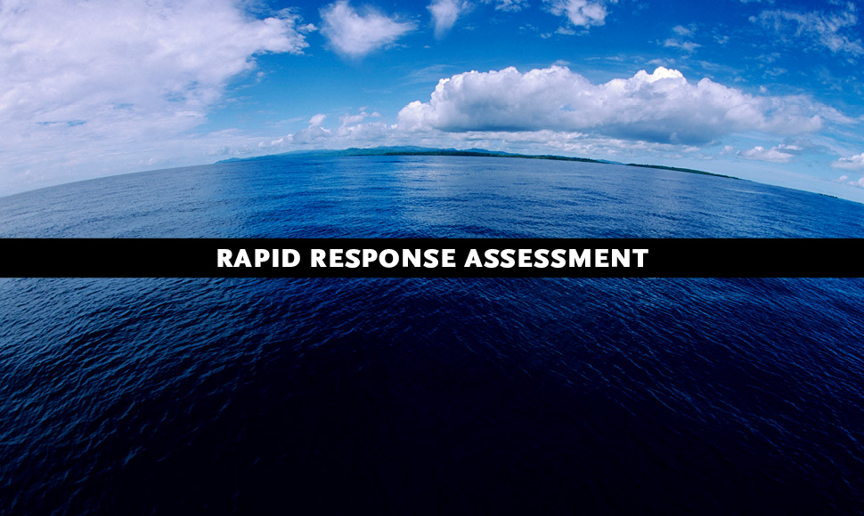 Blue Carbon: The Role of Healthy Oceans in Binding Carbon