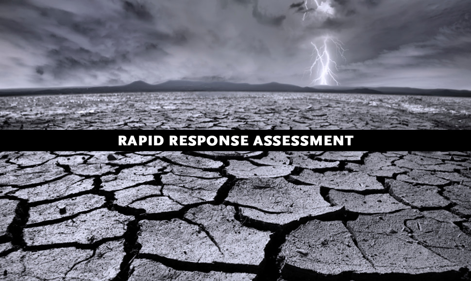 The Environmental Food Crisis: The Environment’s Role in Averting Future Food Crises