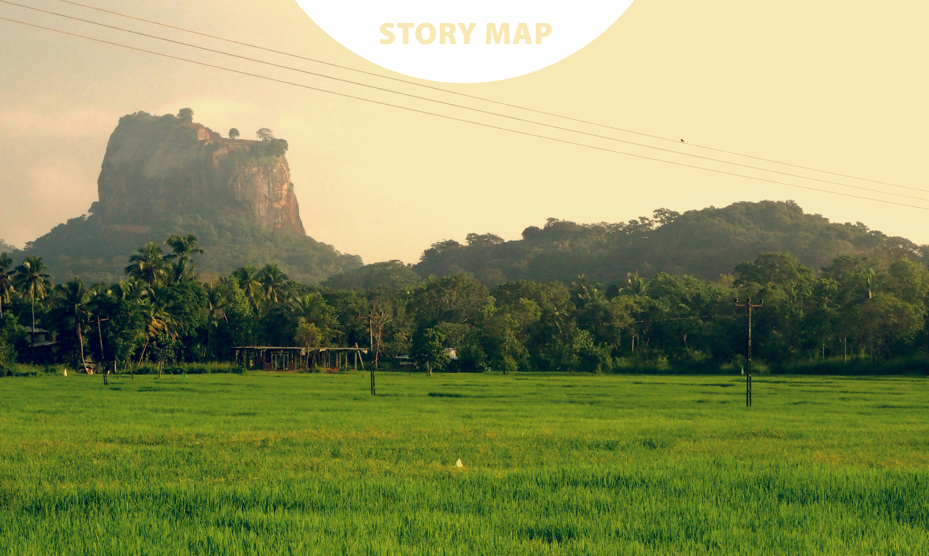 Strengthening Conservation Policies and Actions: Biodiversity and Plastic Pollution in Sri Lanka