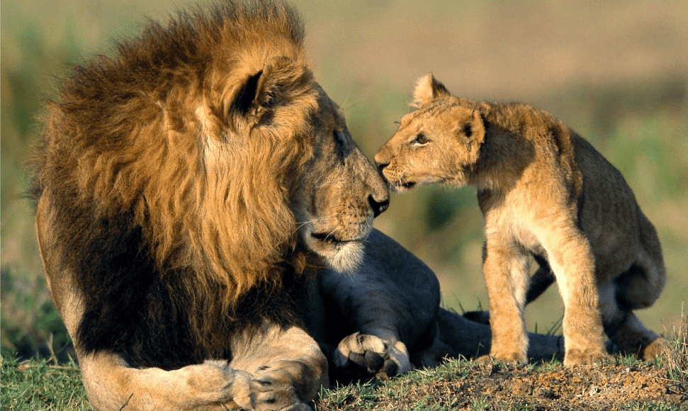Zambia: Atlas of our Changing Environment