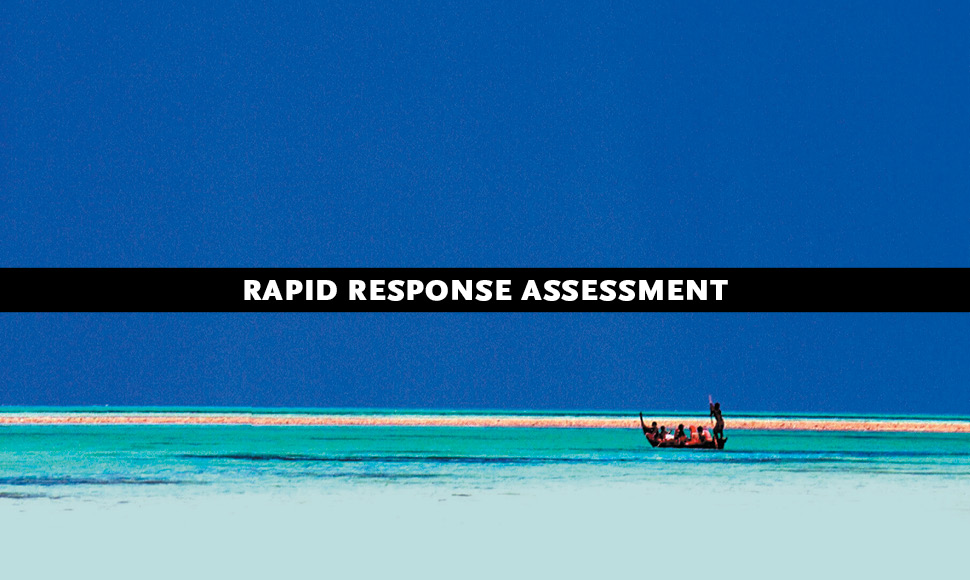 Our Precious Coasts: Marine Pollution, Climate Change and the Resilience of Coastal Ecosystems