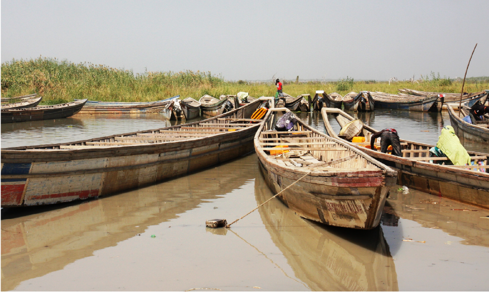 Environmental Dimensions of Conflict in the Lake Chad Region