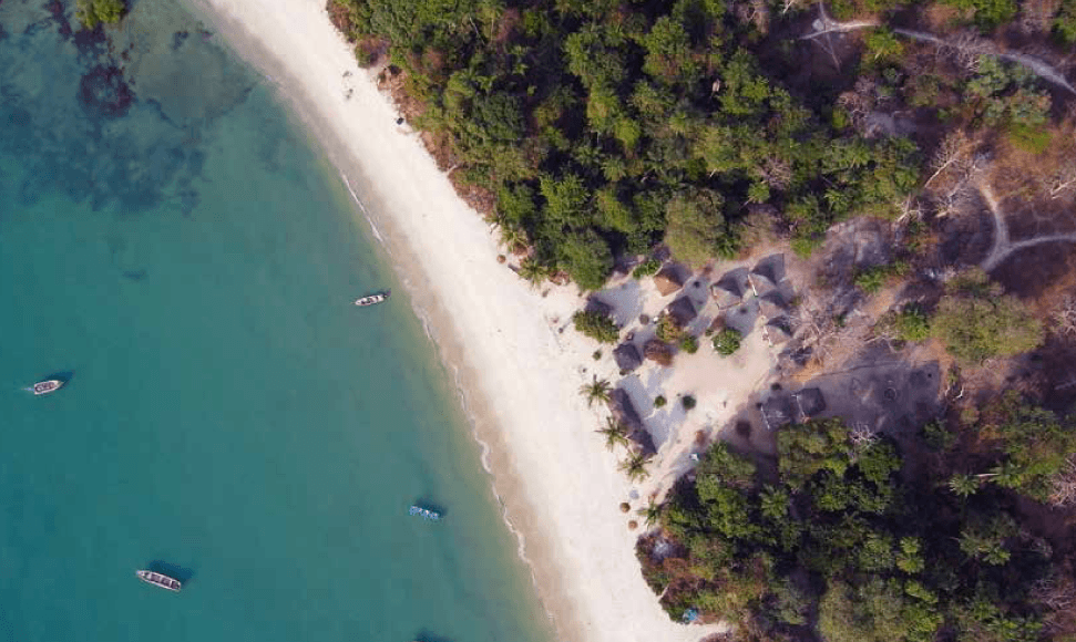 Blue Carbon Financing of Mangrove Conservation in the Abidjan Convention Region: A Feasibility Study