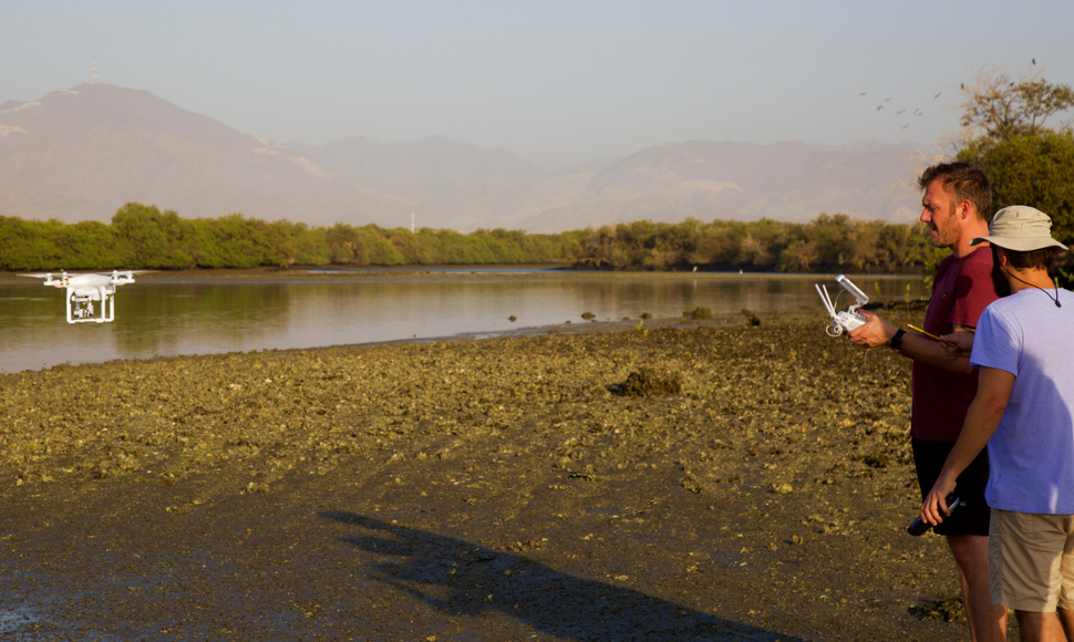 The Coastal Ecosystem Mapping and Media Viability Project