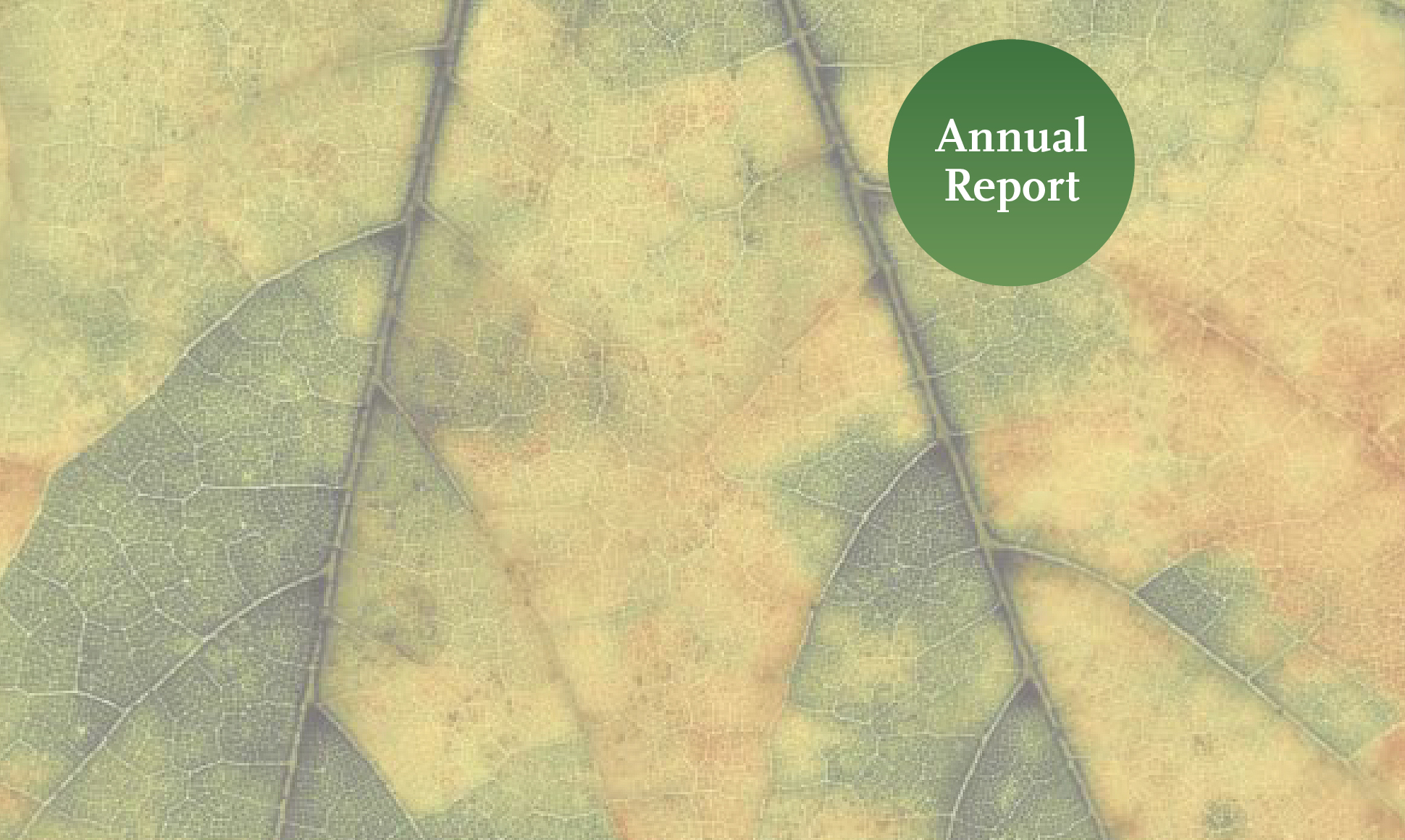 GRID-Arendal: Annual Report 1999