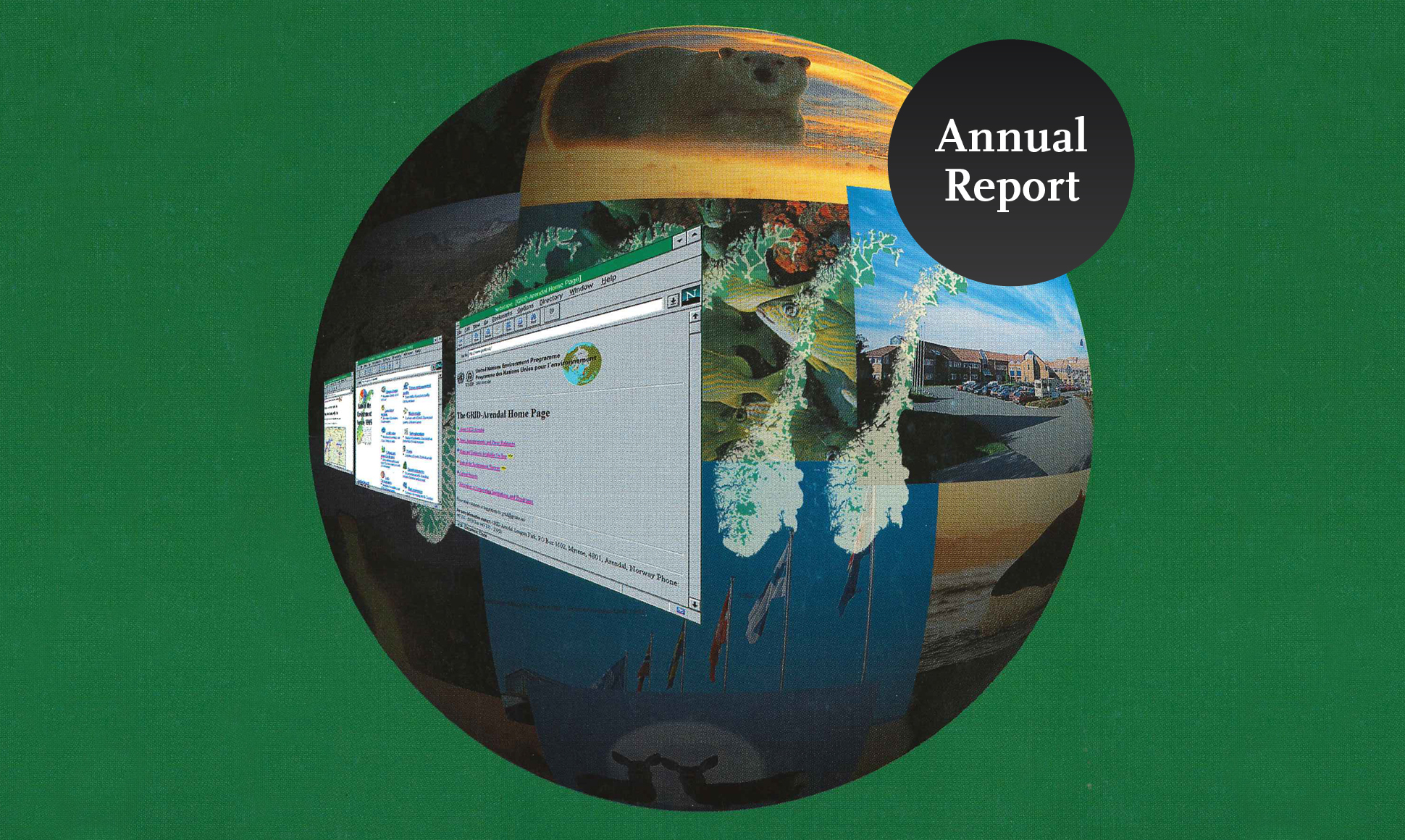 GRID-Arendal: Annual Report 1995