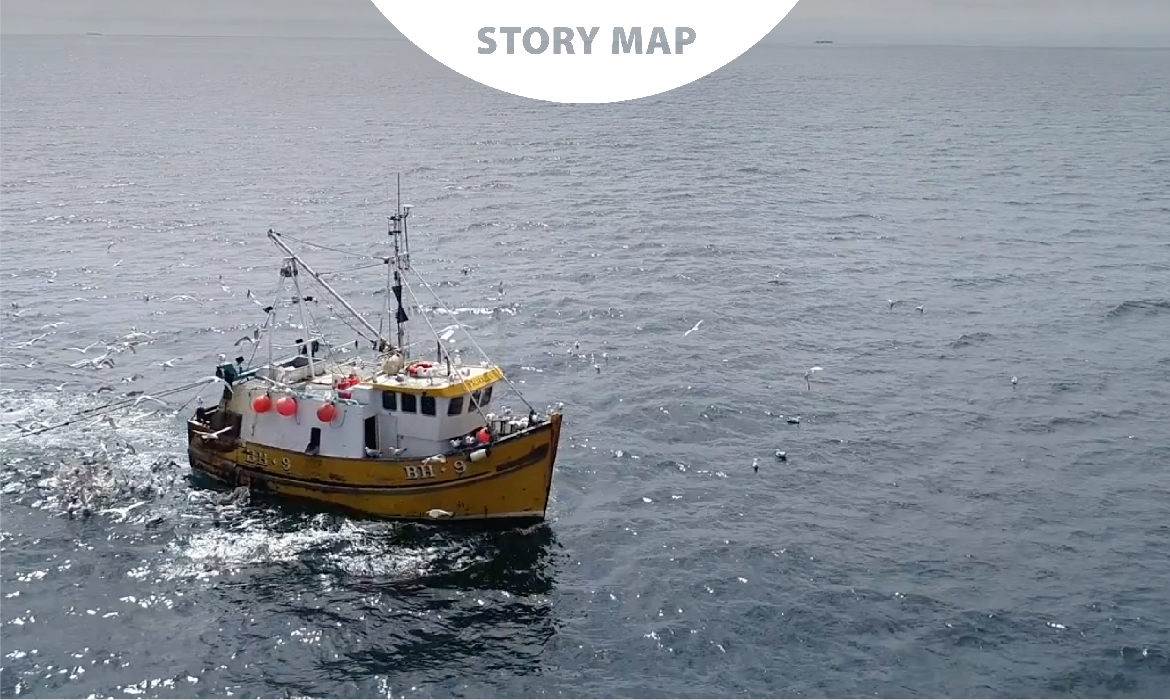 A sea under pressure: Bottom trawling impacts in the Baltic