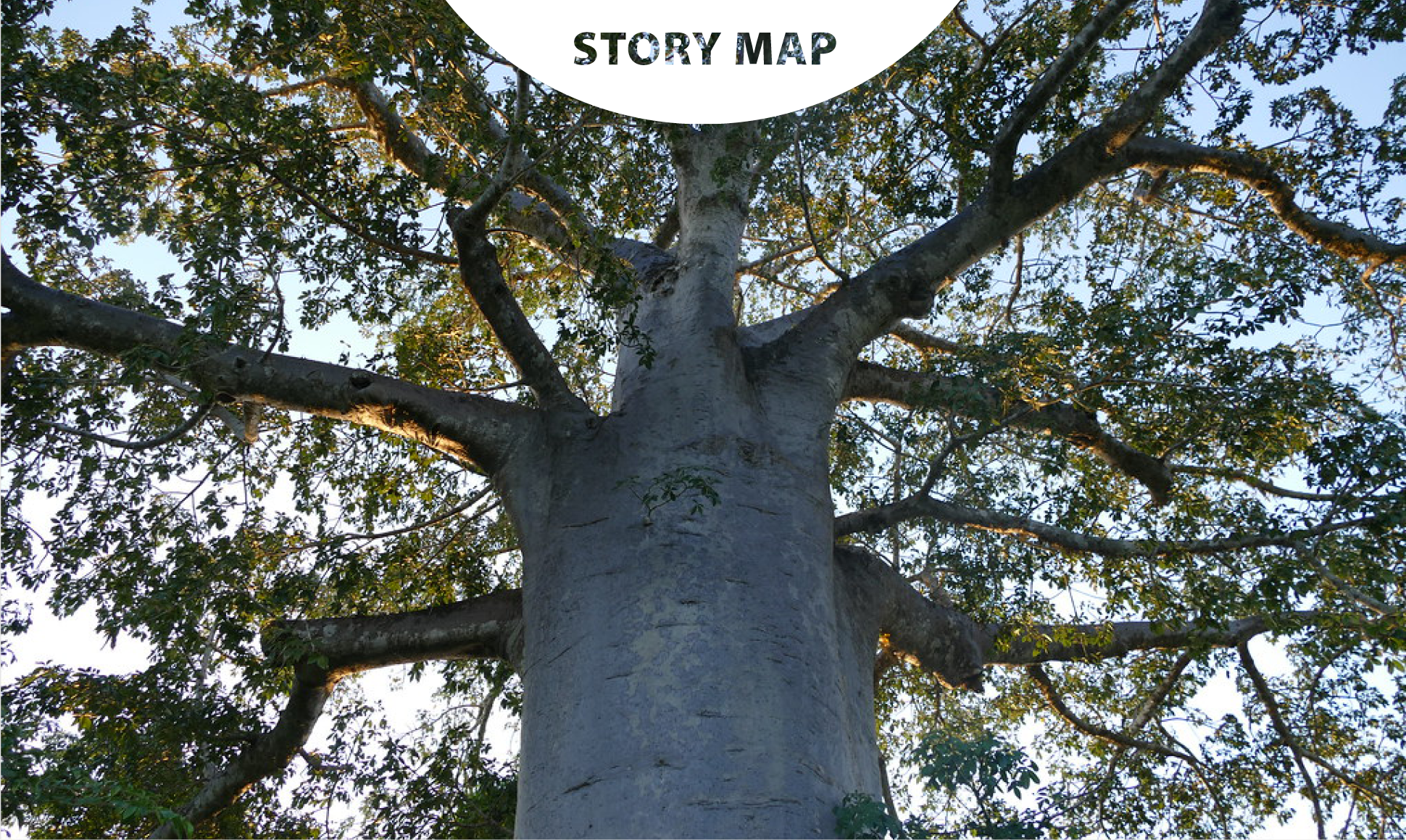 Mapping the Circular Economy Across Africa